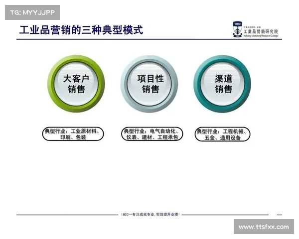 集团项目首开劲销的关键因素分析及策略探讨